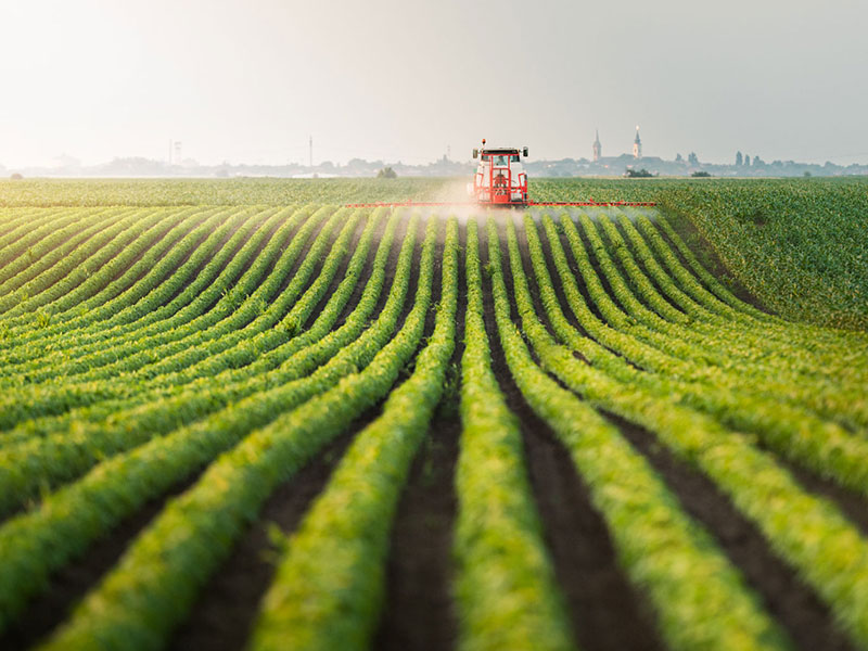 Business Activity Updates